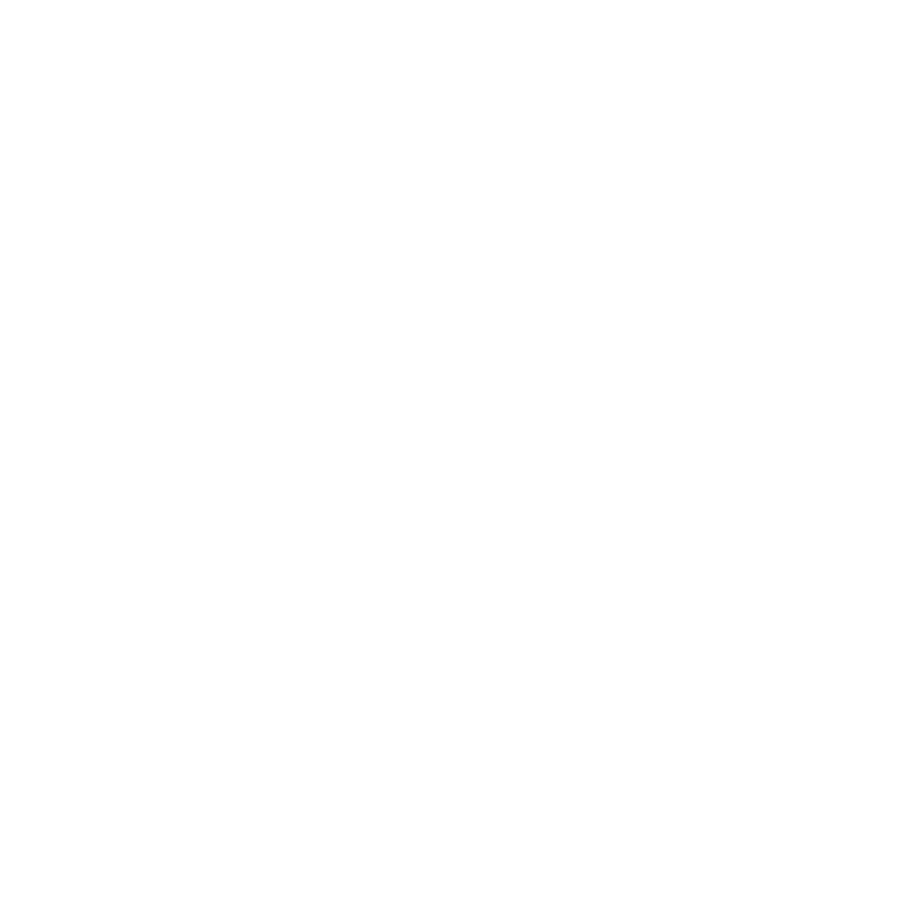 logo-sv-17-monochrome-blanc-69664934742b7293750231.png